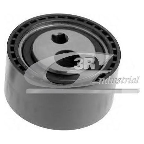 3RG 13231 RODILLO TENSOR