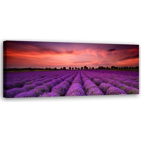 Tableau sur toile Champ de fleurs violettes 90x30 (1/5)