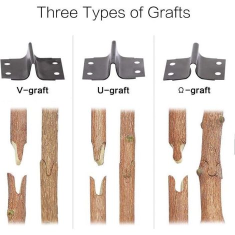 Ciseaux Greffage - 3 Lames Remplaçables V U Ω - Pour Arbres Fruitiers Canne À Sucre Légumes - 1 Pièce (1/4)