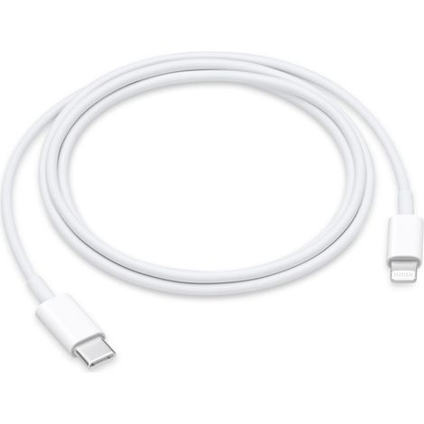 Cable SGS USB-C a Lightning 1 Metro Plata