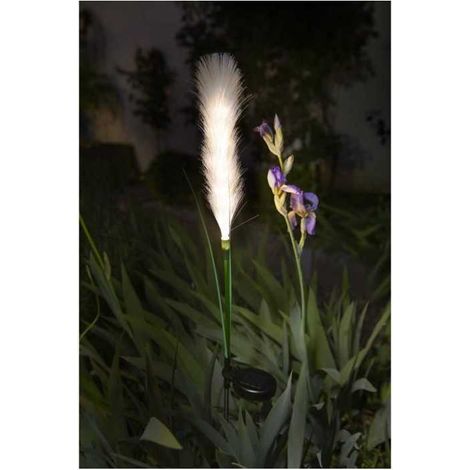 Light decoration - GALIX - G4515 - Solar energy: Feather duster (1/3)