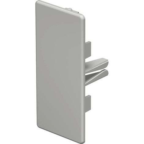 OBO Bettermann Pieza final 40x90mm cloruro de polivinilo blanco puro RAL 9010, 6193234
