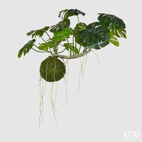 EDG Enzo De Gasperi Monstera Bell Pianta da Appendere Artificiale H 70 Cm L 110 Cm Green (1/3)