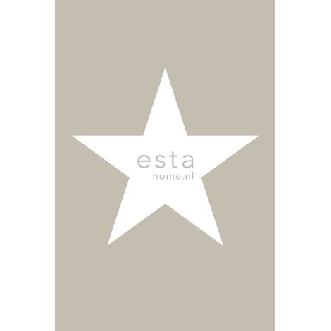 papier peint panoramique étoile taupe  - ESTAhome (1/5)