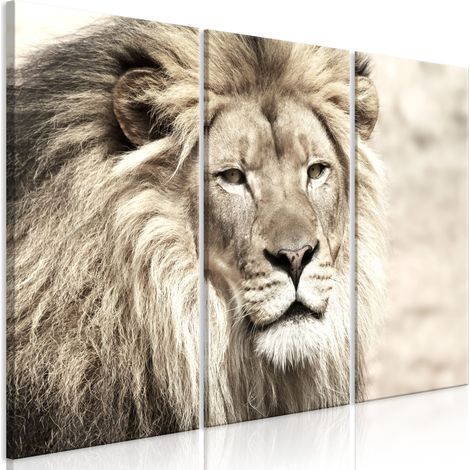 Quadro - The King of Beasts (3 Parts) Beige - 90x60 (1/4)