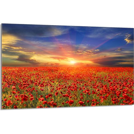 Glasschutzplatte für den Herd 80x52 Maki
