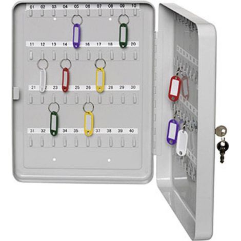 ALCO Cassetta porta chiavi 891 Numero di ganci 30 Grigio luminescente (1/2)