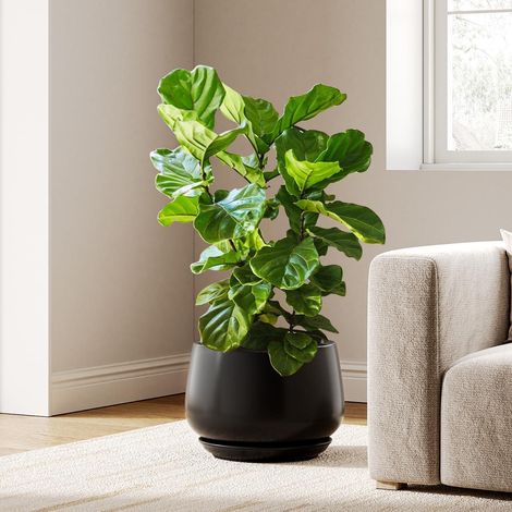 Keramik Blumentopf mit Untersetzer, 30 cm, Schwarz (1/5)
