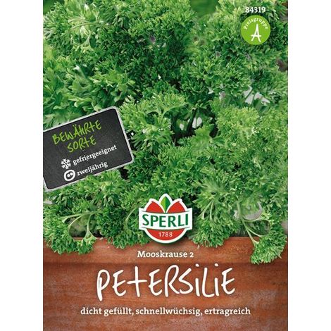 Sperli Petersilie Mooskrause 2 - Kräutersamen (1/4)