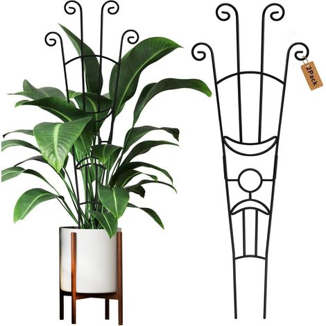2 Pièces Tuteur Métallique pour Plantes en Pot, 83CM Extensible Grand Tuteur de Jardin Robuste Haut Support pour Plantes Grimpantes Lierre Pothos Hoya Monstera Fleurs Vigne (1/5)