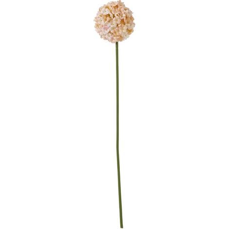 The Natural Garden Collection White & Apricot Allium - Artificial Flower (Single Stem) - Plastic - H56 cm - White