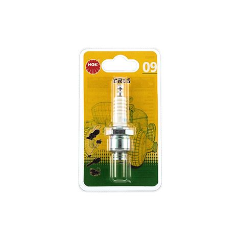 bougie d'allumage ngk sous blister br6s.