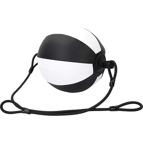 Speed Ball Boxe Entraînement Fitness Ball Sac de Frappe Cordes Suspendues pour Boxe Kickboxing (1/5)