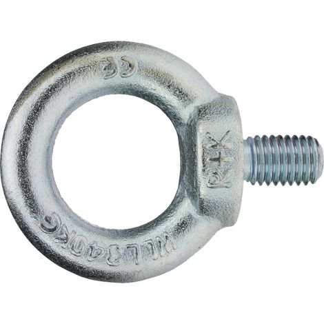 Reidl DIN 580 Ringschrauben M 22, C15/C15E verzinkt (1/4)
