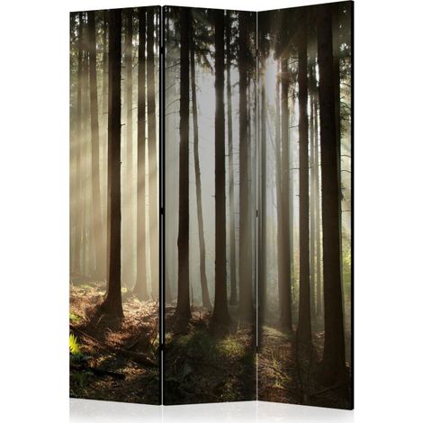 Paravent 3 Volets "Coniferous Forest" 135x172cm (1/2)