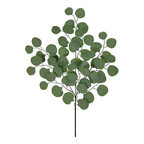 Plante artificielle attrayante, eucalyptus artificiel vert réaliste et frais, universel, pour bureauD (1/5)