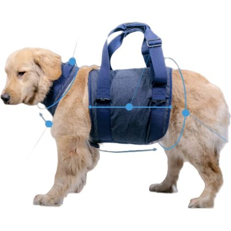 Harnais de soutien pour chiens âgés (1/2)