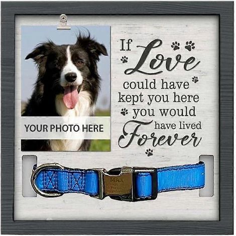 Cadre photo commémoratif pour animaux de compagnie, cadre photo en bois, cadeau de sympathie pour la perte d'un chien ou d'un chat (1/4)