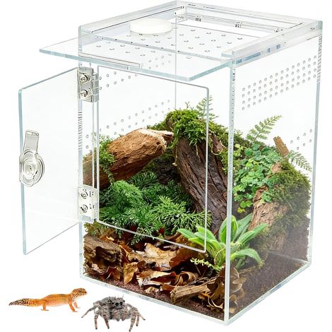 Terrarium araignées en acrylique - Ouverture avant rectangulaire - 15 x 15 x 23 cm - Avec ventilation transversale - Étanche - Pour araignées, geckos, manteuses et grenouilles à feuilles (1/5)