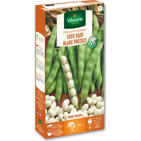 Vilmorin Haricot Nain à Ecosser Coco Blanc Précoce (1/3)