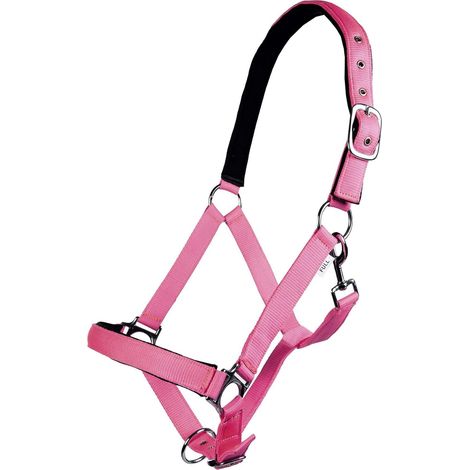 1 Licol Cheval Doux Mousqueton Bandeau Rembourré Équitation Loisir