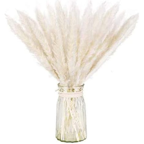 Paquet séché naturel d'herbe de pampa sèche pour la décoration intérieure 30pcs blanc (1/5)