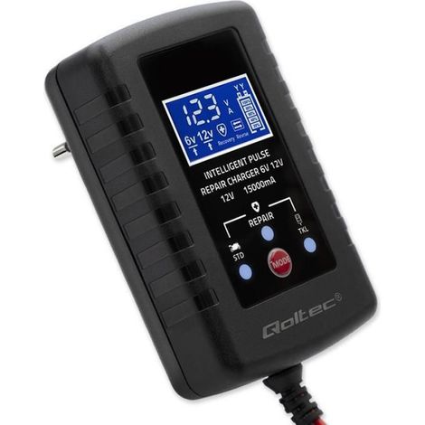 Chargeur Batterie AGM GEL - 6V 12V - 2A - Fonction Réparation - Affichage LED - 1 Pièce (1/5)