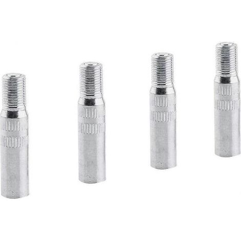 Rallonge de valve, lot de 4 rallonges de valve de roue en métal pour voiture, camion, fourgonnette (1/5)