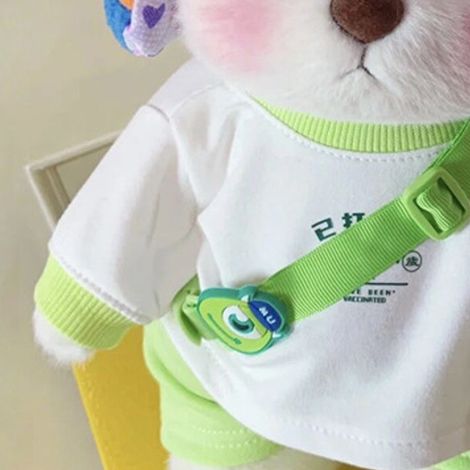 Vêtements pour animaux en peluche : Vêtements en peluche mignons, modernes et doux pour ours en peluche, type 1. (1/5)
