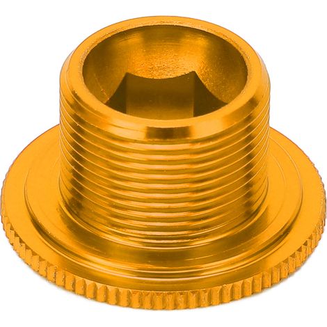 Vis de fixation de cache-manivelle CANSUCC M18 pour VTT, en acier inoxydable doré (1/5)
