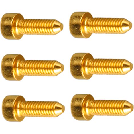 Lot de 6 vis à tête hexagonale pour guitare, avec embout conique et blocage des cordes, pour chevalet de vibrato double. (1/5)