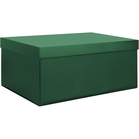 Vert Boîte de Rangement Carton Boîtes avec Couvercle 30 x 20 12 cm Petit Ruban pour Maison Chambre Salon Bureau École (1/5)