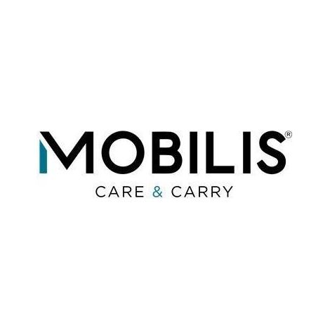 Caricatore mobilis 65W USB-C ricarica veloce design elegante (1/3)