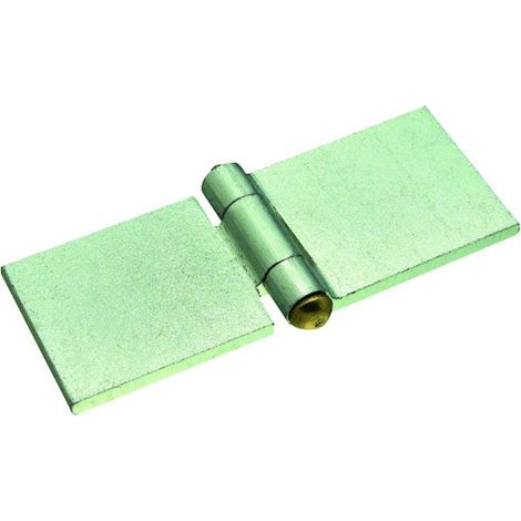 Charnière à souder 5 nœuds acier zingué blanc diamètre 12 mm 50 x60 x 5,2 mm - TORBEL INDUSTRIE