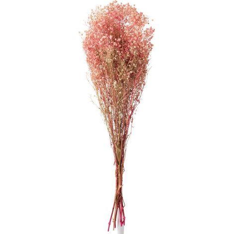 Bouquet de Fleurs "Gypsophile Séché" 84cm Rose (1/2)