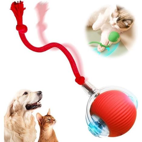 Jouet interactif - Non spécifié - Balle automatique - Rouge - Matériau résistant aux morsures - Pour chat (1/4)
