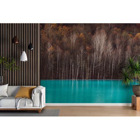 Papier peint forêt - bouleaux au lac turquoise - 150 x 250 cm (1/2)
