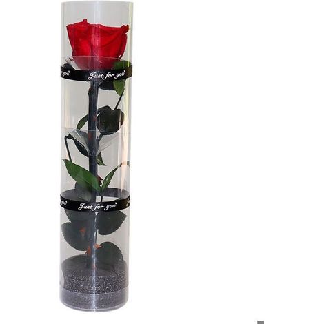 vraie rose éternelle, rose éternelle, rose durable, rose éternelle (1/4)