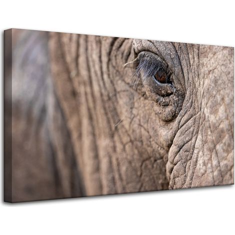Stampa su tela "Animali: Occhio di elefante" 80x50 cm