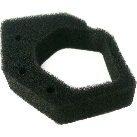 Filtre à air GX25 17211-ZOH-000 Élément de filtre à air GX25 (1/2)