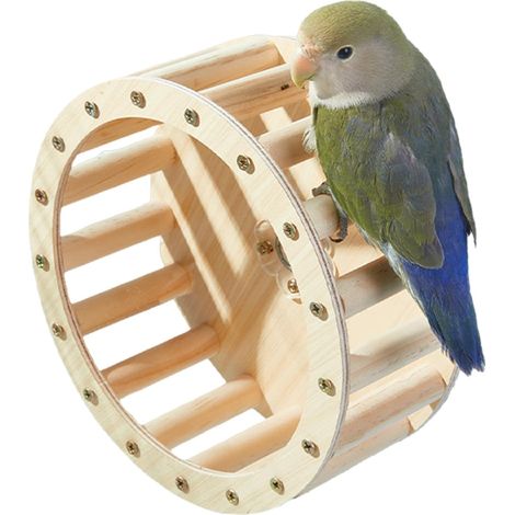 Laufrad für Vogelübungsspielzeug  Übungsrad-Intelligenzspielzeug für Papageien, intelligenzstimulierendes interaktives Unterhaltungszubehör für Sittiche