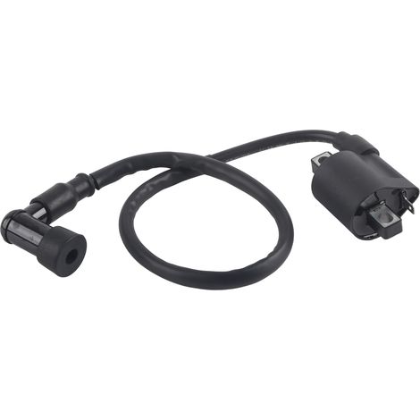 Bobine d'allumage haute performance pour ATV 150CC 200CC 250CC, Scooter et Kart (1/5)