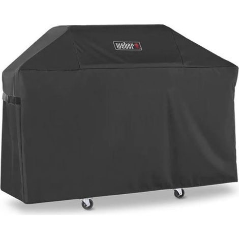 Genesis 300 Barbecue (1/3)