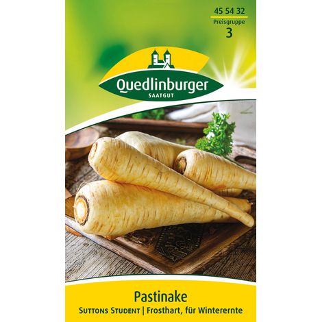 Quedlinburger Saatgut – Panais Suttons Student – Graines de légumes, racines jusqu'à 40 cm, pour env. 280 plants (1/2)