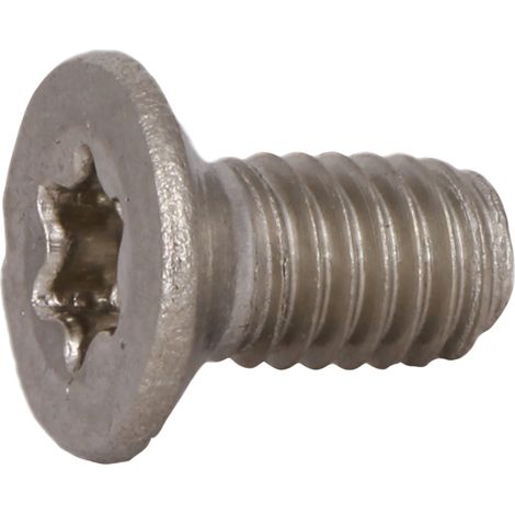 Reidl DIN 965 Senkschrauben M 10 x 55, Torx, A2 blank (1/4)