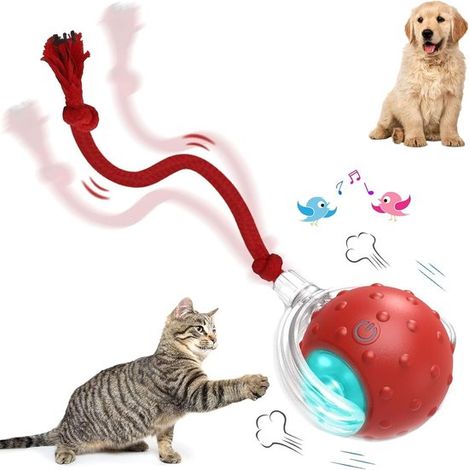 ZVD Jouets interactifs pour animaux de compagnie - Jouet pour chat - Avec sons d'oiseaux et ficelle - Balle interactive pour chats et chiens (1/5)