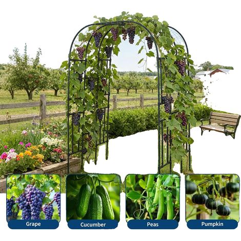 Arco de jardín, estructura metálica, 218 x 160 x 119 cm, soporte para plantas trepadoras, apto para rosales, requiere montaje. (1/5)