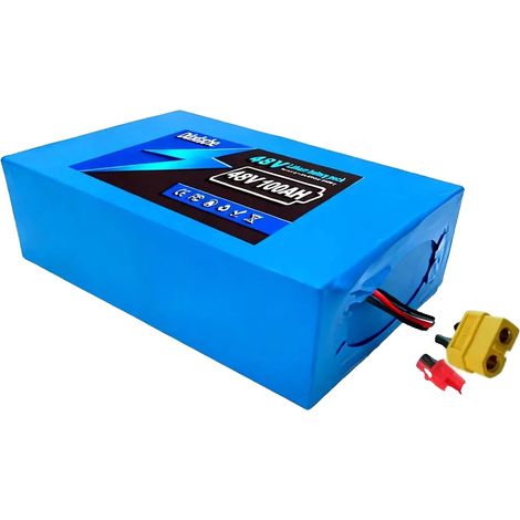 Pack de batterie lithium, capacité 100AH, design léger, JST XT60 (1/2)