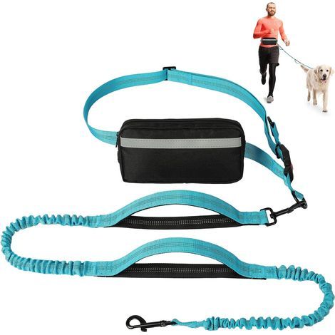 Bleu Laisse Mains Libres pour Chien avec Ceinture Réglable, Laisse de Jogging, Doubles Poignées Rembourrées et Élastique Durable pour la Marche (1/5)