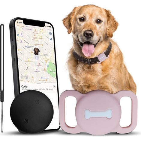 Traceur GPS pour chiens et chats sans frais mensuels - Collier avec localisation en temps réel, étanche et rechargeable, rose. (1/5)